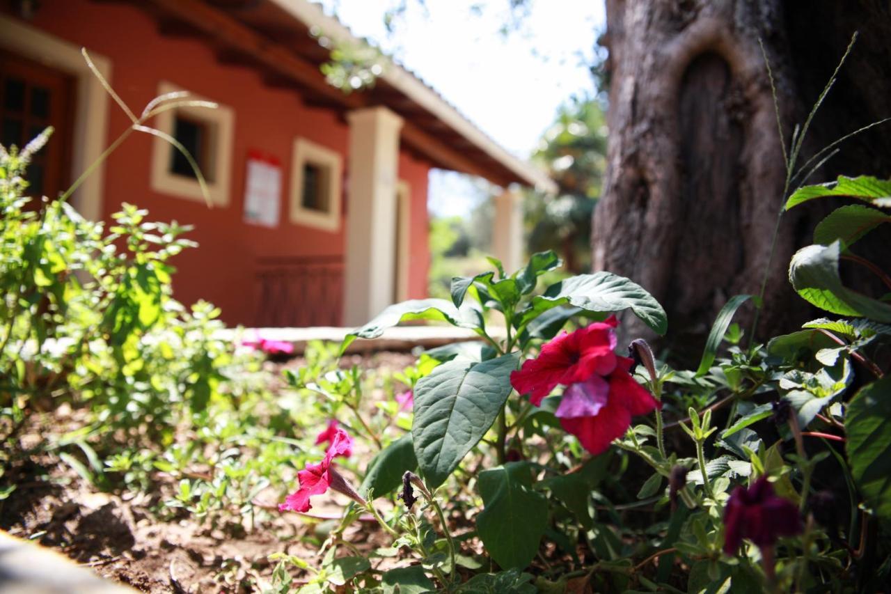 Aristea Studios Kato Korakiana Exterior photo
